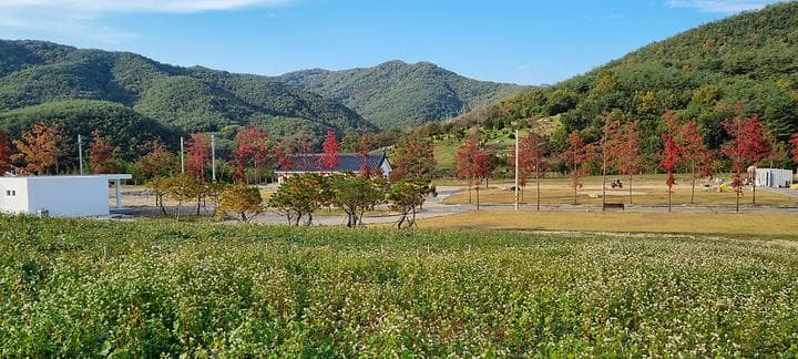 감산 캠핑장 · GoCamping 제공