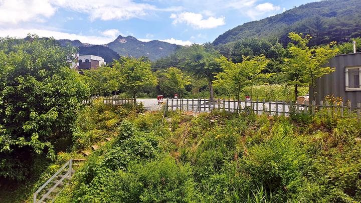 SOL Camping 캠핑장 · GoCamping 제공