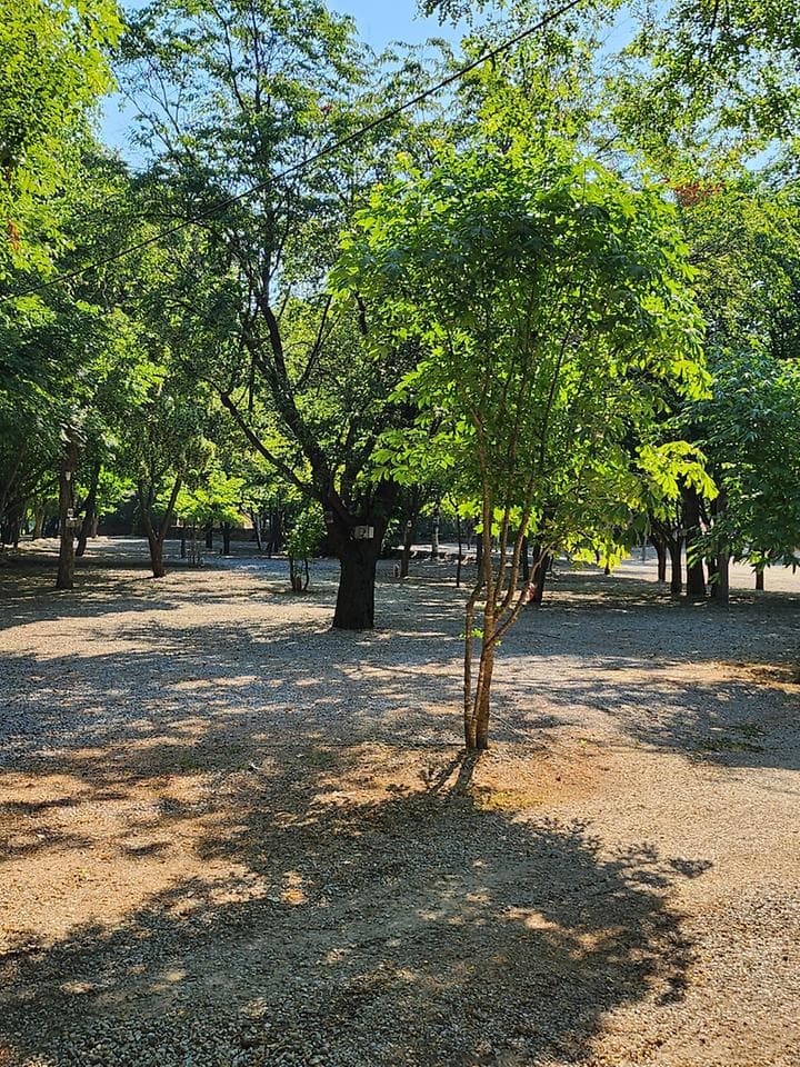 백담계곡오토캠핑장 캠핑장 · GoCamping 제공