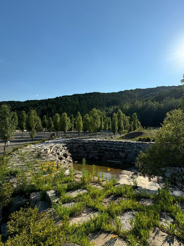 엘모로캠핑 캠핑장 · GoCamping 제공