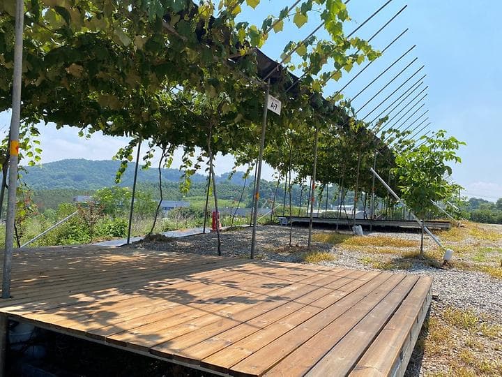 포도길 캠핑장 캠핑장 · GoCamping 제공