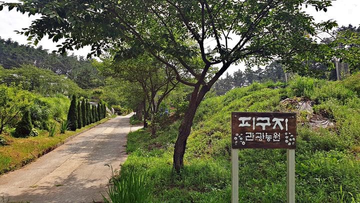 피구지 관광농원 캠핑장 · GoCamping 제공