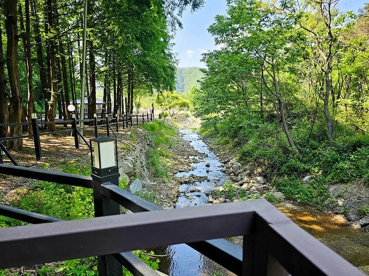 스테이네이처 캠핑장 · GoCamping 제공