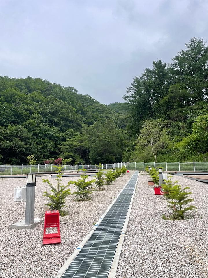블루베리캠핑장 캠핑장 · GoCamping 제공