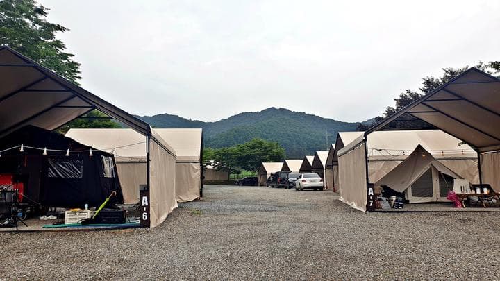 원더 포레스트 캠핑장 · GoCamping 제공