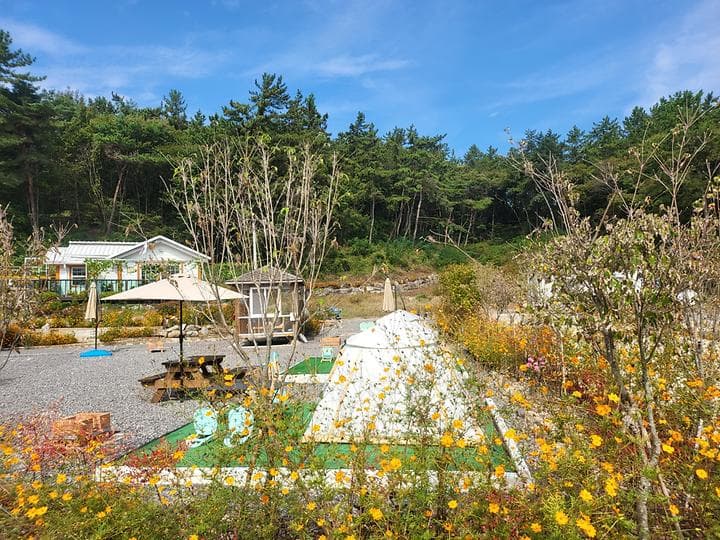사천파인트리캠핑장 캠핑장 · GoCamping 제공