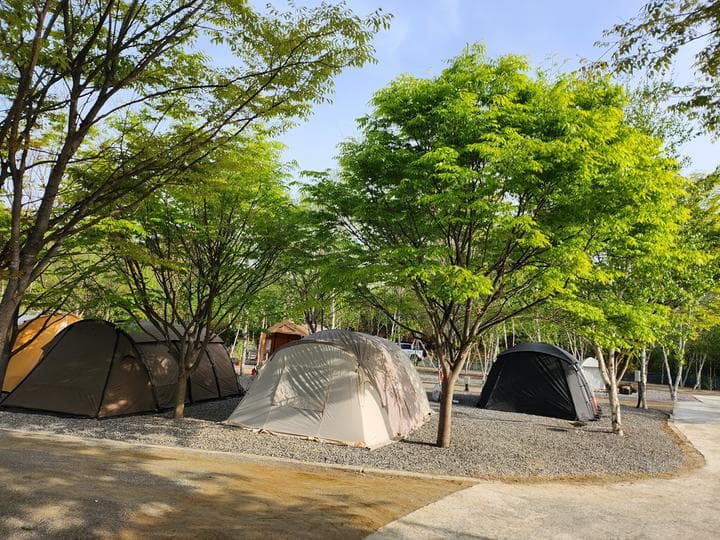 나무와 쉬리 캠핑장 · GoCamping 제공