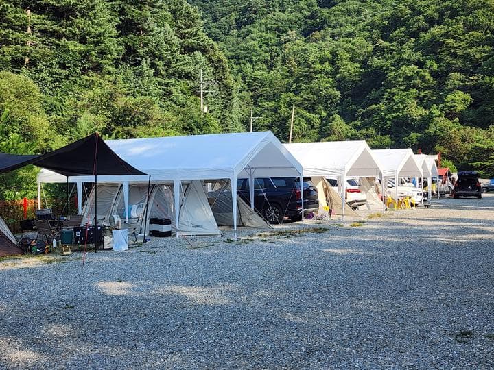레드우드캠핑장 캠핑장 · GoCamping 제공