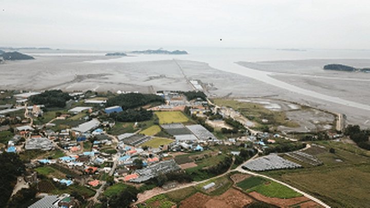 선감 캠핑장 캠핑장 · GoCamping 제공