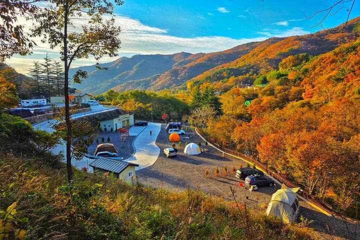 서진이네 오토캠핑장 캠핑장 · GoCamping 제공