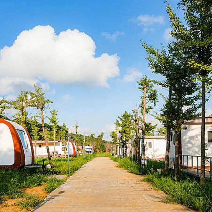교동섬마을캠핑장 캠핑장 · GoCamping 제공