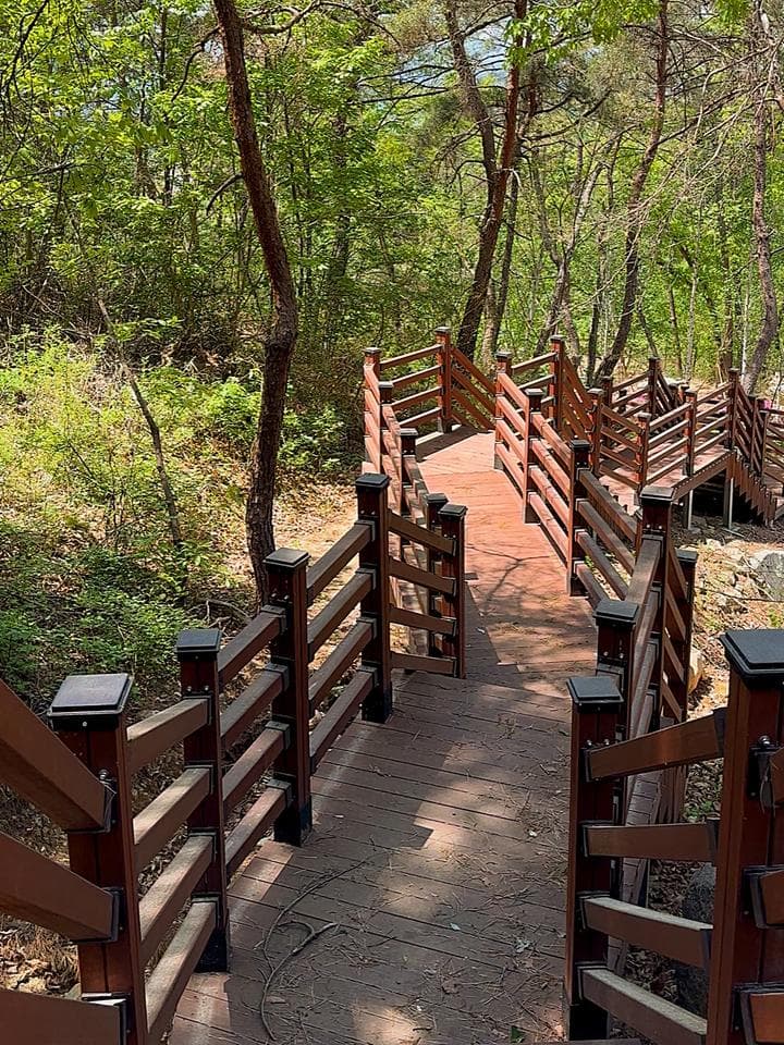의성단밀숲속야영장 캠핑장 · GoCamping 제공