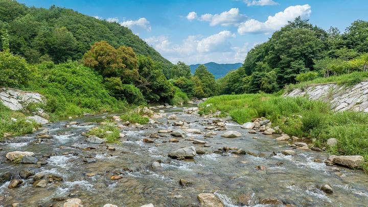 반딧불카라반캠핑장 캠핑장 · GoCamping 제공