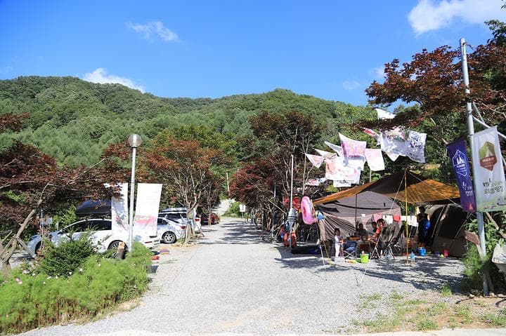 매봉힐링캠프 캠핑장 · GoCamping 제공