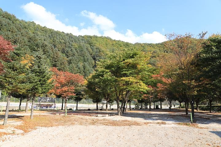 매일민박야영장 캠핑장 · GoCamping 제공