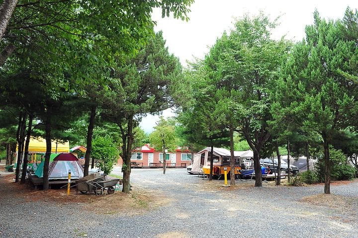 핫도그342애견글램핑카라반 주식회사 캠핑장 · GoCamping 제공