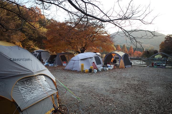 명학산 캠핑장 캠핑장 · GoCamping 제공