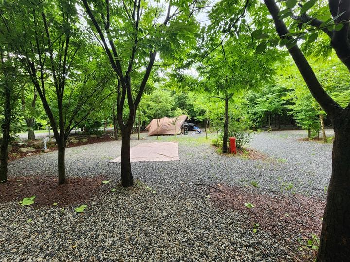 몬테비얀코 캠핑장 · GoCamping 제공
