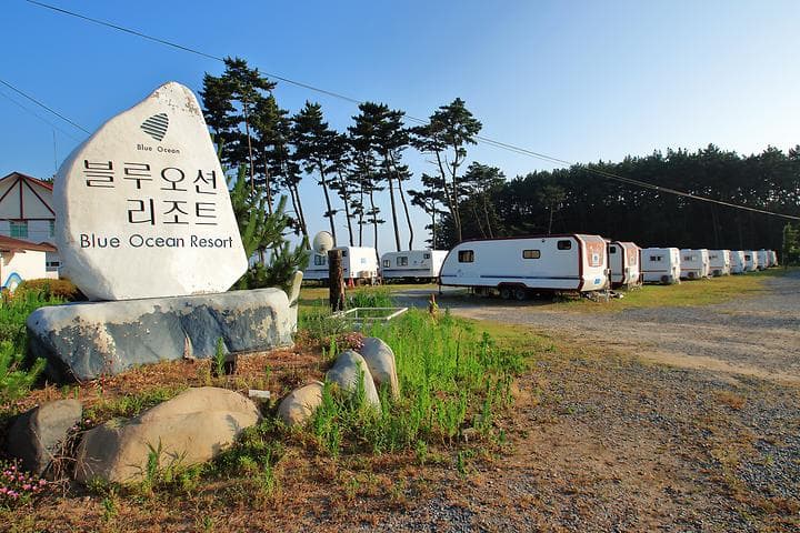 몽산포 홀리데이파크 캠핑장 · GoCamping 제공