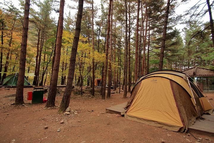 무릉계곡 힐링캠프장 캠핑장 · GoCamping 제공