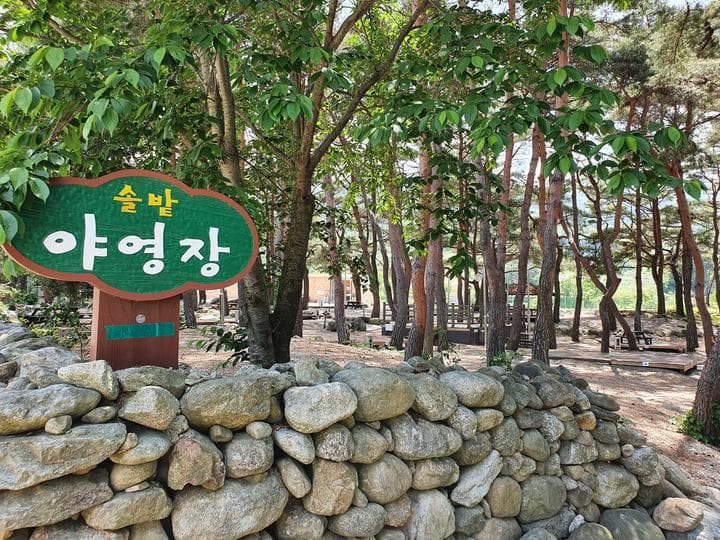 무주 솔밭야영장 캠핑장 · GoCamping 제공