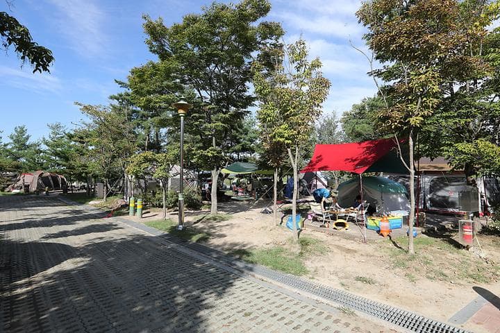 문암생태공원 캠핑장 · GoCamping 제공