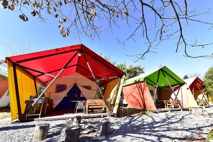 숨쉬는고래 캠핑장 · GoCamping 제공