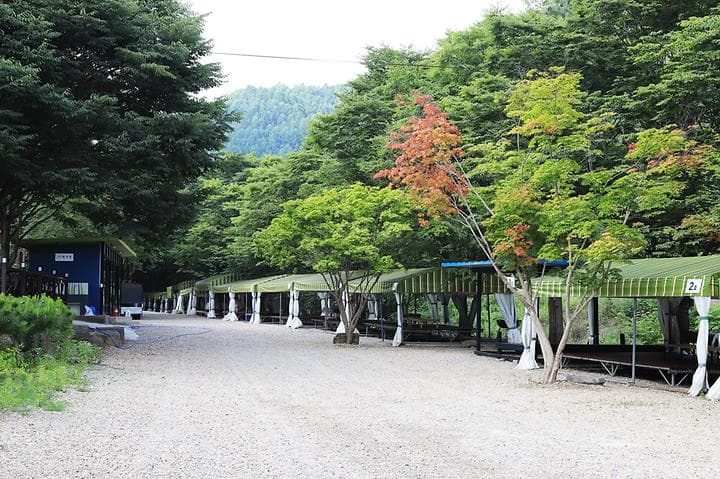 예그리나숲 캠핑장 · GoCamping 제공