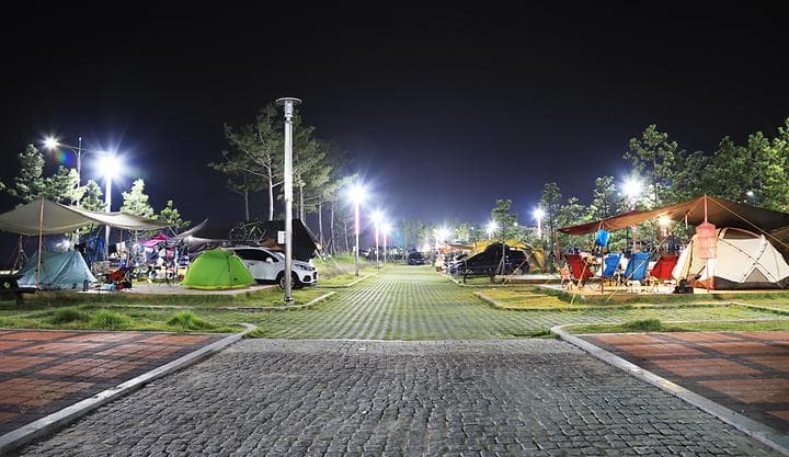 백도오토캠핑장 캠핑장 · GoCamping 제공