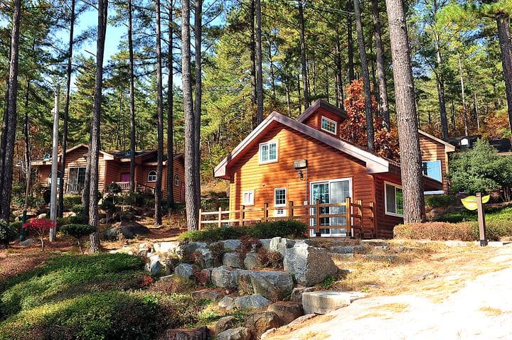백운산 자연휴양림 야영장 캠핑장 · GoCamping 제공