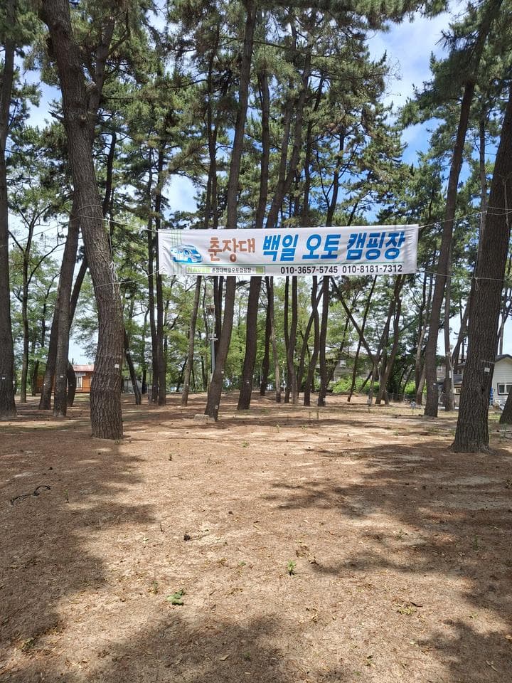 춘장대 백일 캠핑장 캠핑장 · GoCamping 제공