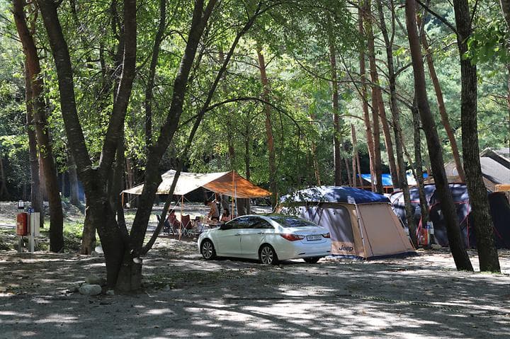 갈천 오토캠핑장 캠핑장 · GoCamping 제공