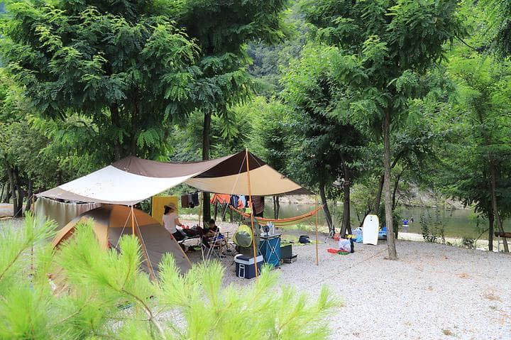 별마로빌리지캠핑장 캠핑장 · GoCamping 제공