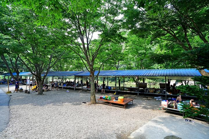 진안고원 숲 펜션&캠핑장 캠핑장 · GoCamping 제공