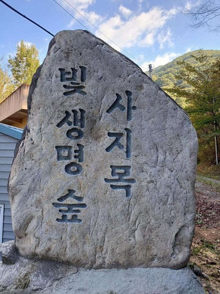 빛 생명 숲 사지목 캠핑장 · GoCamping 제공
