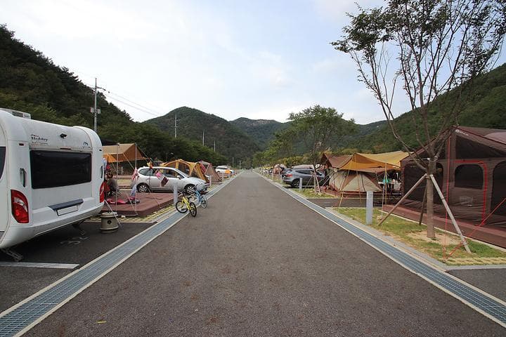 산꽃벚꽃마을 오토캠핑장 캠핑장 · GoCamping 제공