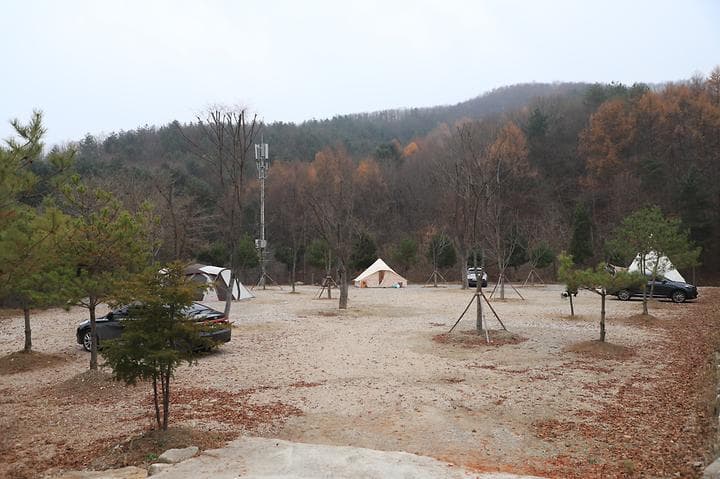 산울림관광농원 캠핑장 · GoCamping 제공