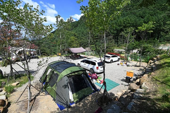 산청지막계곡캠핑장 캠핑장 · GoCamping 제공