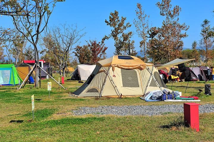 삼락생태공원 오토캠핑장 캠핑장 · GoCamping 제공