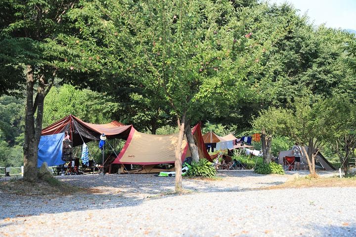 새막골 캠프 캠핑장 · GoCamping 제공