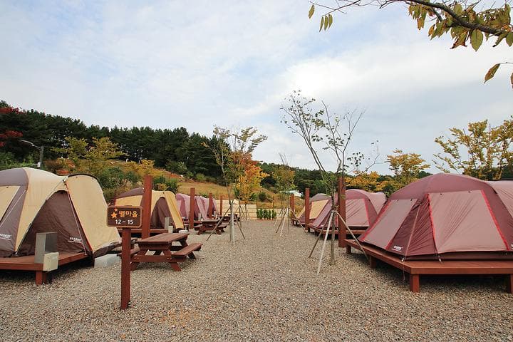 서천 금빛노을 서울캠핑장 캠핑장 · GoCamping 제공