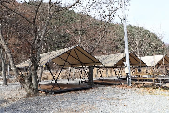 강촌포도팬션&캠핑장 캠핑장 · GoCamping 제공