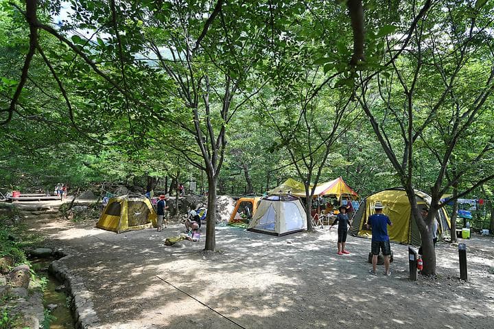 소막골야영장 캠핑장 · GoCamping 제공