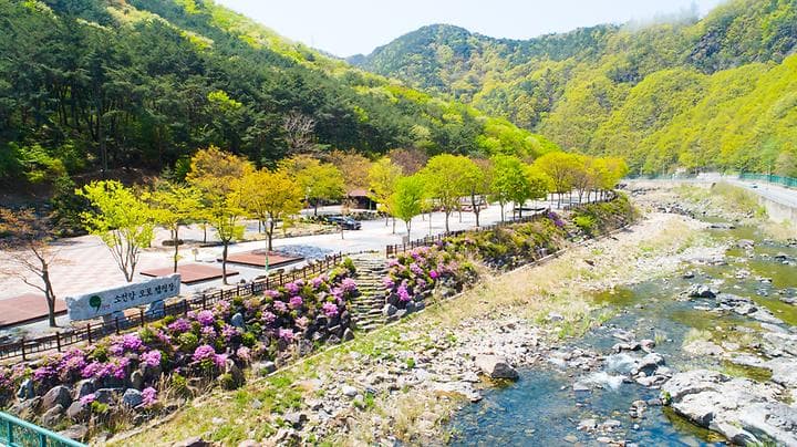 소선암 오토캠핑장 캠핑장 · GoCamping 제공