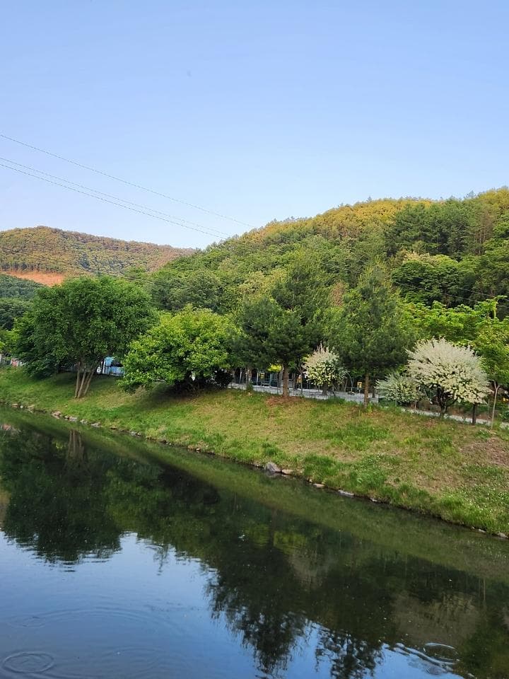 속리산알프스캠핑장&펜션 캠핑장 · GoCamping 제공