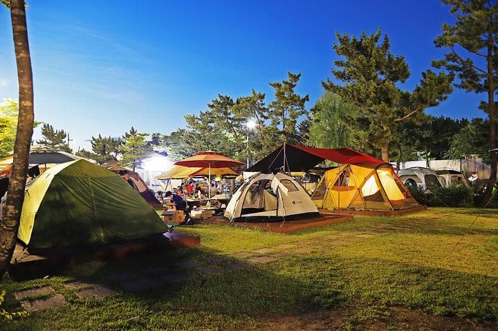 속초해변 국민여가 캠핑장 캠핑장 · GoCamping 제공
