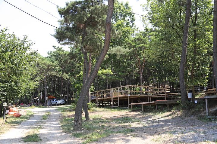 솔밭캠핑장 캠핑장 · GoCamping 제공