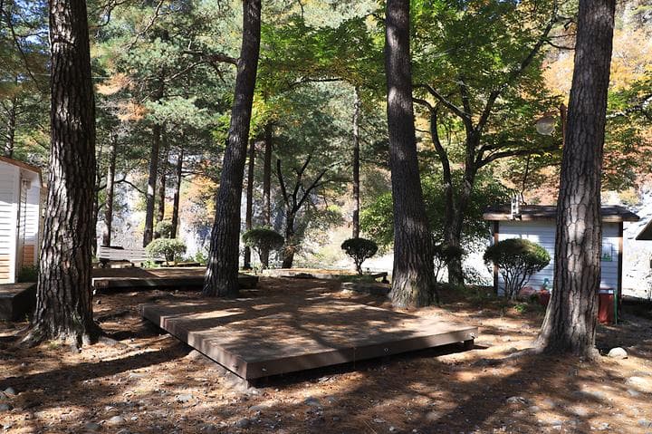 정선 삼시세끼 스쿨 캠핑장 캠핑장 · GoCamping 제공