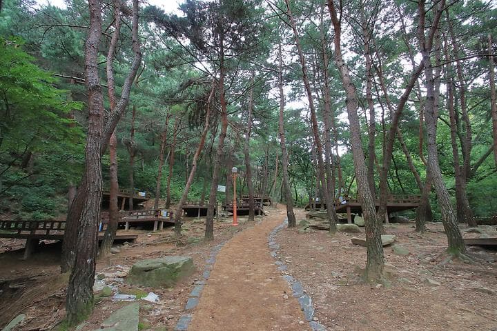송정 자연휴양림 캠핑장 · GoCamping 제공