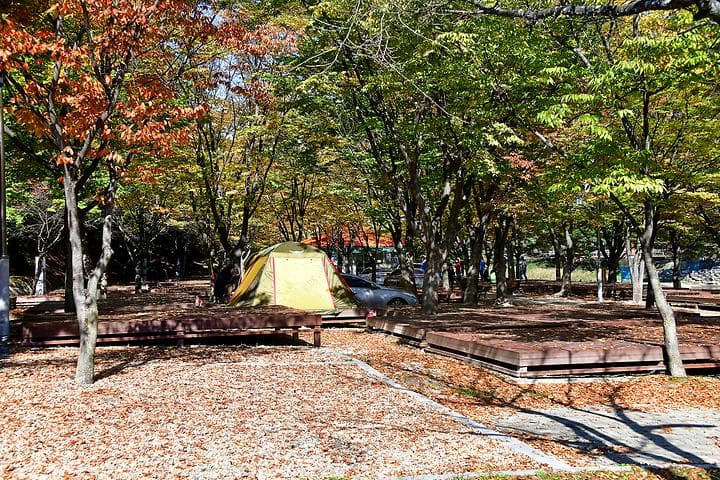 수승대야영장 캠핑장 · GoCamping 제공